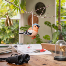 Hanger Sjaal met Verhaal vogel vink