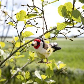 Hanger Sjaal met Verhaal vogel puttertje