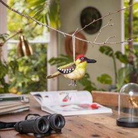 Hanger Sjaal met Verhaal vogel groene specht