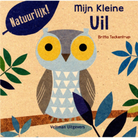 Boekje Mijn kleine uil met vingerpopje uil