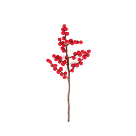 Bloem vilt tak met besjes rood (helix)