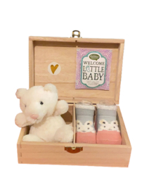 Babybox S knuffel en sokslofjes