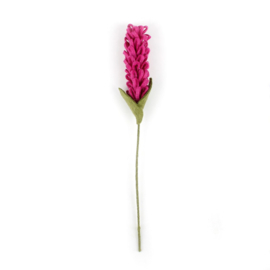 Bloem vilt hyacinth fuchsia