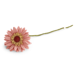 Bloem vilt gerbera lichtperzik