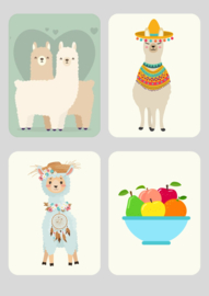 Kaart KvdE Alpaca duo