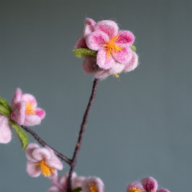 Bloem vilt appelbloesem