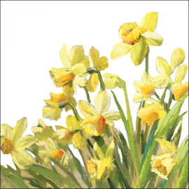 Servetten narcissen Ambiente