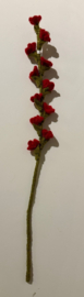 Bloem vilt tak rood