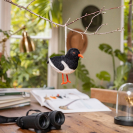 Hanger Sjaal met Verhaal vogel scholekster
