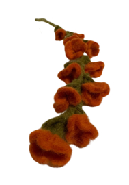 Bloem vilt tak oranje