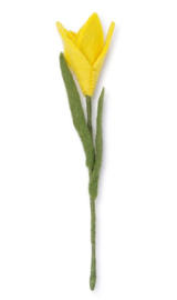 Bloem vilt krokus geel