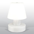 Portable Lamp met snoer 40cm hoog