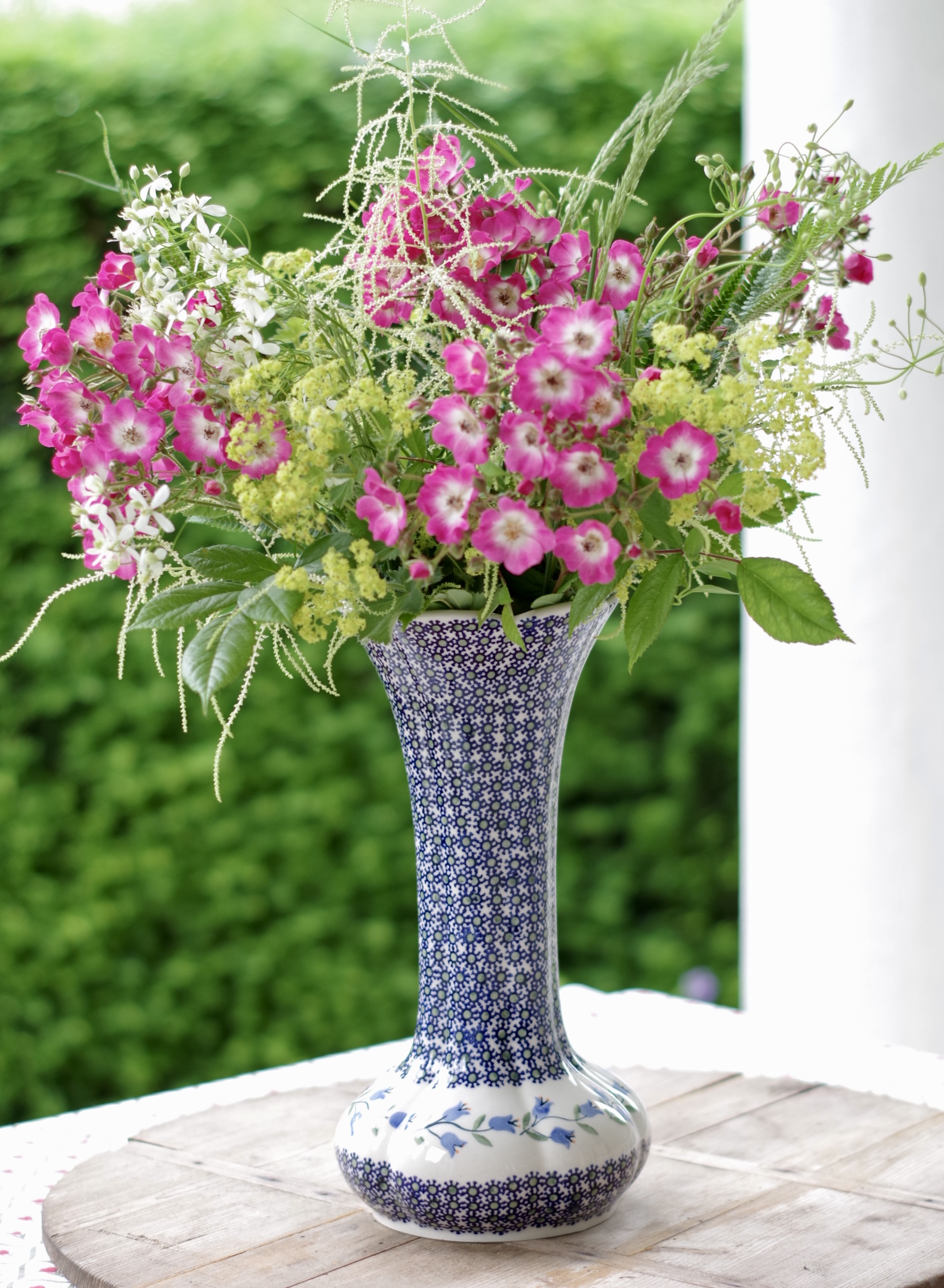Vaas hoog - campanula