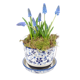Bloempot met onderbord signatuur - bloemenpracht blauw