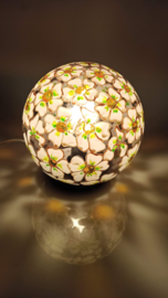 Kleine Bollamp 223
