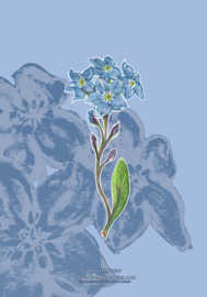 greeting card forget me not