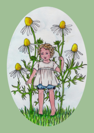 Greeting Card child Camomile