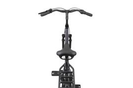 Altec Omega Plus 28 inch Damesfiets 50 of 56 cm N-7 mat zwart