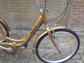 Huskey-6 Driewieler 24 inch Goudkleur