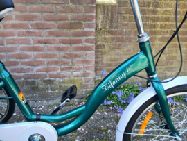 Tifanny 6 driewieler 20 inch groen