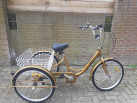 Huskey-6 Driewieler 24 inch Goudkleur