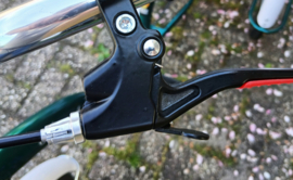 Tifanny 6 driewieler 20 inch groen