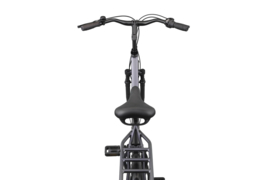 Altec Delta + Plus 28 inch Damesfiets N-3 50 / 56cm Mat Gray