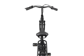 Altec Delta + Plus 28 inch Herenfiets N-3 54 / 61 cm Mat Zwart