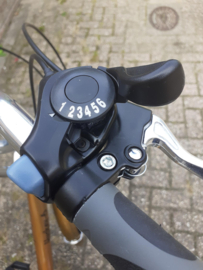 Huskey-6 Driewieler 24 inch Goudkleur
