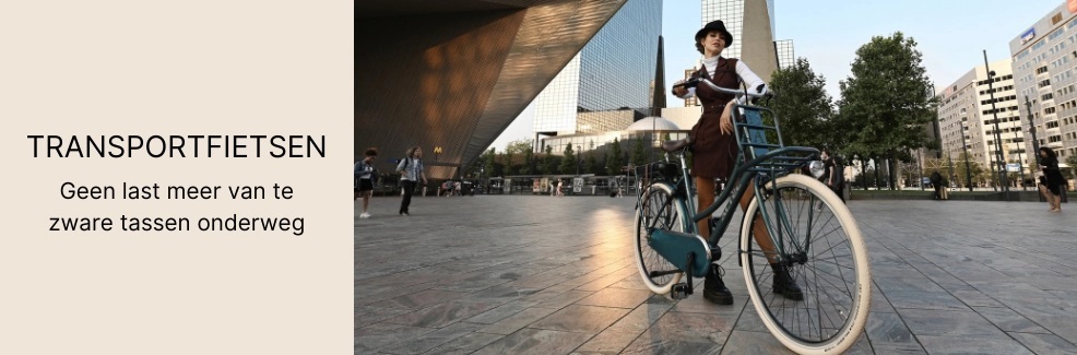 Transportfiets Altec