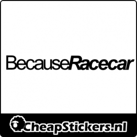 BECAUSE RACECAR STICKER