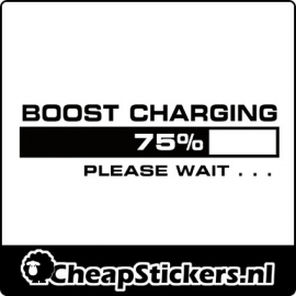 BOOST CHARGING STICKER