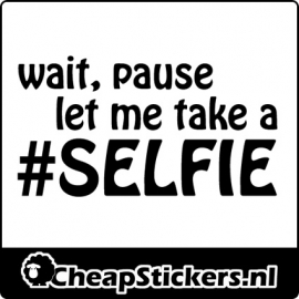 SELFIE STICKER