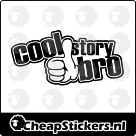 COOL STORY STICKER