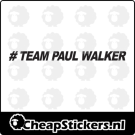 TEAM PAUL WALKER STICKER