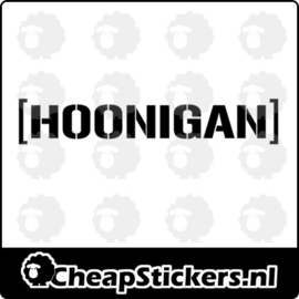 HOONIGAN RAAMBANNER