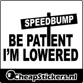 PATIENT I'M LOWERED STICKER