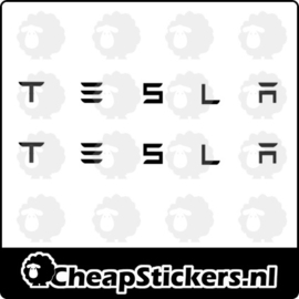 T E S L A REMKLAUW STICKERSET