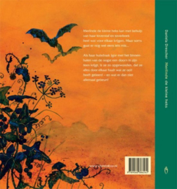 Merlinde de kleine heks | prentenboek
