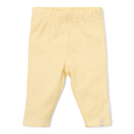 Little Dutch new born little farm legging warm yellow check