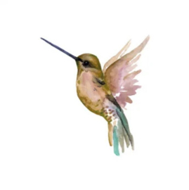 wenskaart days of bloom | kolibrie