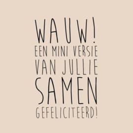leukigheidjes | wauw! een mini versie van jullie samen gefeliciteerd