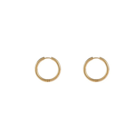 Go Dutch Label oorbellen | hoop 2,5 x 18mm goud