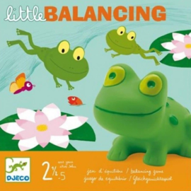 Djeco spel | Little balancing