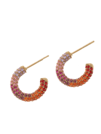 rose en camellia oorbellen strass gekleurd