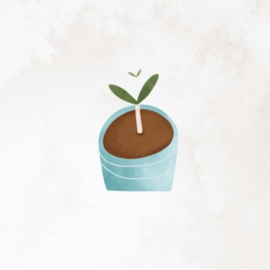 wenskaart studio noorderlicht plantje