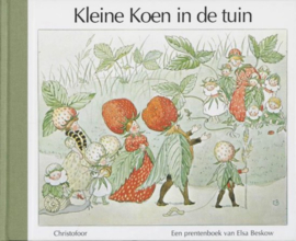 Kleine Koen in de tuin | prentenboek