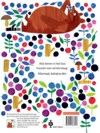 Boet de beer | prentenboek