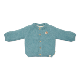 Little Dutch new born gebreid vestje baby blue