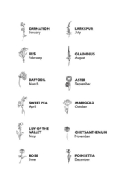 my jewellery armband | birthflower